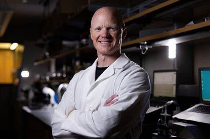 Insulin Resistance Is Making Us Fatter and Sicker Than Ever Before