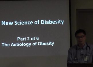 The Aetiology of Obesity Part 2 of 6 The New Science of Diabesity/肥胖的病因第2部分(共6部分)- 糖尿病的新科学