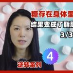 逆转4:身体里存的糖最终都去了哪里?结果出乎你的意外,可能颠覆认知