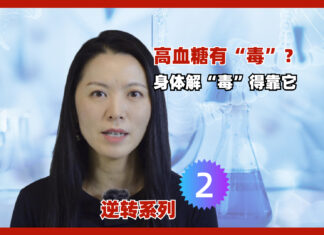 逆转2:高血糖有“毒”? 身体解“毒”得靠它。基础1/3