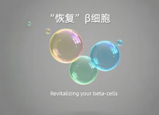 Revitalising Your Beta cells: Optimal Dietary Strategies for Diabetes Remission