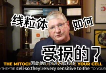 安德森医生:线粒体损伤的真正原因及其预防方法