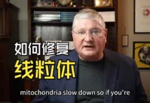 安德森医生:如何自然的修复线粒体