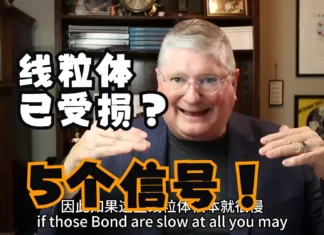 安德森医生:5 个警告信号表明你的线粒体已受损